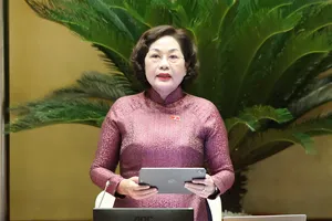 Phó Chủ tịch Quốc hội Nguyễn Thị Hồng điều hành phiên thảo luận. Ảnh: QUANG PHÚC 