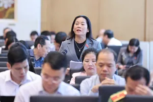 ĐB Lê Thị Thanh Lam (TP Cần Thơ) phát biểu tại hội nghị. Ảnh: QUANG PHÚC 