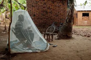 Một người dân ở Tanzania ngồi trong mùng để chống muỗi. Ảnh: Health Policy Watch