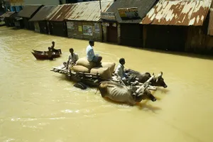 Việt Nam nằm trong nhóm dễ bị ảnh hưởng của rủi ro khí hậu 