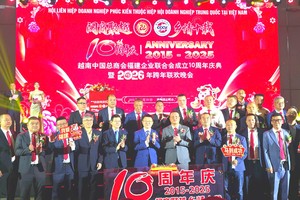 闽商聚越 乡情十载