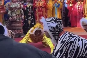 Cục Di sản văn hóa chỉ đạo "nóng" về việc múa cọp ở Tháp Bà Ponagar