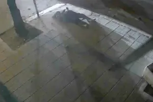 Truy xét nhóm "quái xế" tông trúng người đi đường ở Nha Trang