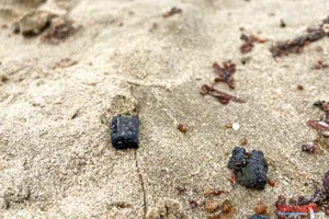 Tìm nguyên nhân dầu vón cục dạt vào bờ biển Nha Trang