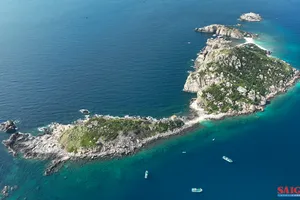 Khám phá nơi khởi nguồn nghề yến sào Việt Nam