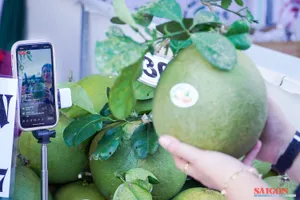 Chuyển đổi số là đòn bẩy tăng trưởng cho hợp tác xã