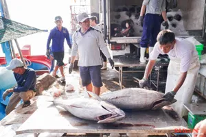 Khánh Hòa phát động thi đua cao điểm, quyết gỡ "thẻ vàng" IUU