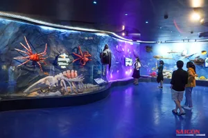 Khám phá “Đại dương kỳ bí” tại Nha Trang