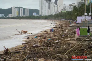 Bãi biển Nha Trang ngập rác do lũ