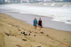 Bãi biển Nha Trang sạch trở lại sau lũ