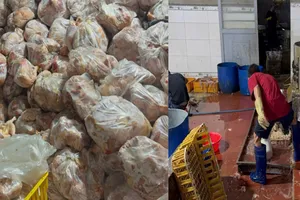Khánh Hòa: Phát hiện hơn 10 tấn thịt gà không rõ nguồn gốc