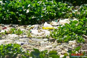 Sông Kim Bồng ở Nha Trang ô nhiễm nặng