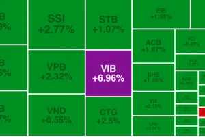 Cổ phiếu ngân hàng hút dòng tiền nên tăng mạnh 