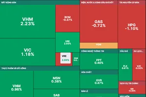 Nhóm cổ phiếu Blue-chips giữ được sắc xanh giúp VN-Index tiếp tục tăng điểm