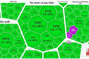 Bảng điện bao trùm bởi sắc xanh trong phiên 21-11