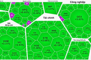 “Cổ phiếu vua” trở lại, chứng khoán quay đầu tăng mạnh