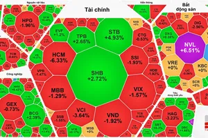 Nhóm cổ phiếu vốn hóa lớn tiếp tục giảm sâu, VN-Index quay đầu giảm