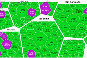 Cổ phiếu bất động sản và đầu tư công tăng mạnh, VN-Index tăng gần 14 điểm