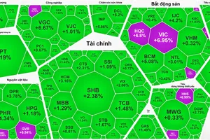 Nhóm cổ phiếu Blue-chips tăng mạnh, VN-Index tăng gần 20 điểm