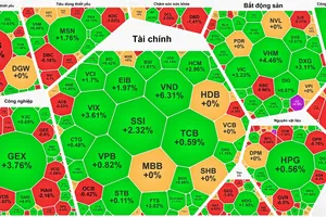 Cổ phiếu chứng khoán tăng mạnh, VN-Index lại lập đỉnh mới