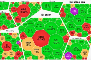 Cổ phiếu bất động sản bứt phá, VN-Index thiết lập đỉnh mới
