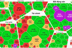 Tiền chảy mạnh vào cổ phiếu bất động sản, VN-Index thiết lập đỉnh mới