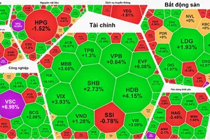 Lực cầu mạnh mẽ, VN-Index lên đỉnh cao mới