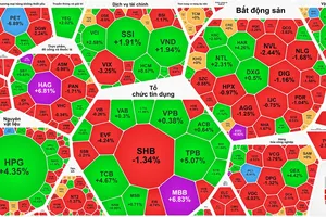 Thanh khoản kỷ lục, VN-Index vượt đỉnh lịch sử rồi “hạ nhiệt”