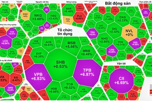 “Cổ phiếu vua” dậy sóng, VN-Index lập đỉnh cao mới