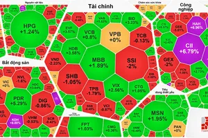 Lập đỉnh phiên thứ 8 liên tục, VN-Index vượt 1.600 điểm