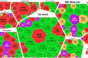 “Cổ phiếu vua” tăng mạnh, VN-Index lập đỉnh mới