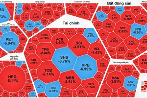 VN-Index giảm mạnh sau nhiều phiên lập đỉnh