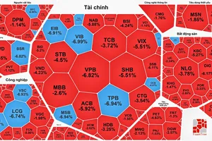 "Cổ phiếu vua" lao dốc, VN-Index giảm mạnh phiên thứ 2 từ đỉnh