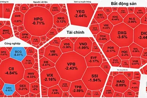 VN-Index giảm sâu, 2 cổ phiếu bị đưa vào diện kiểm soát