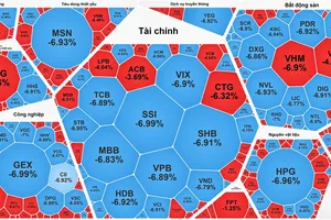 VN-Index giảm kỷ lục, gần 95 điểm