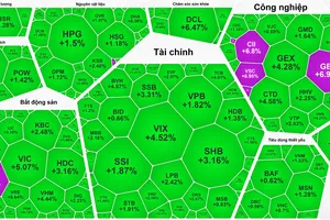 Tiền đổ vào "bắt đáy", VN-Index tăng hơn 38 điểm