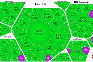 Sắc xanh bao phủ, VN-Index tăng gần 43 điểm