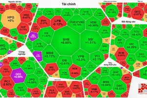 Khối ngoại bán ròng phiên thứ 13, VN-Index vẫn tăng gần 12 điểm