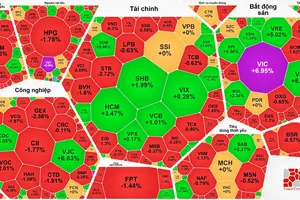 VN-Index vượt 1.800 điểm, thị trường “xanh vỏ đỏ lòng”