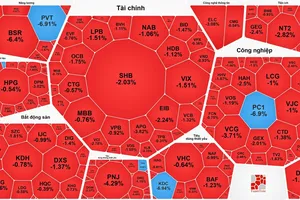 VN-Index tăng gần 23 điểm nhưng thị trường chìm trong sắc đỏ