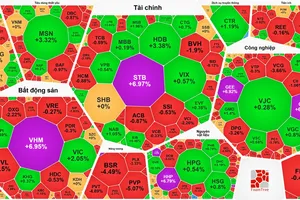 VN-Index lập đỉnh lịch sử