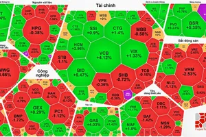 Cổ phiếu dầu khí tăng mạnh, VN-Index thiết lập đỉnh mới