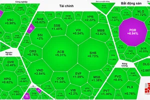 VN-Index giảm nhưng cổ phiếu xanh áp đảo