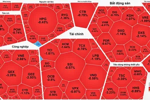 Cổ phiếu ngân hàng khởi sắc, VN-Index vẫn giảm điểm