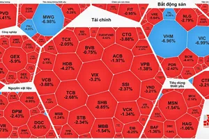 Chứng khoán tiếp tục lao dốc, cổ phiếu PNJ mất 60% thị giá so với đỉnh