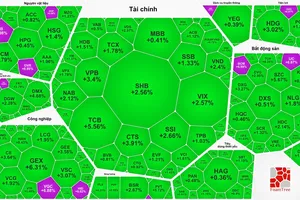 Sắc xanh, tím bao phủ thị trường phiên trong phiên giao dịch đầu tuần 