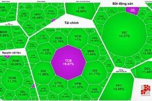 Sắc xanh bao phủ bảng điện trong phiên giao dịch VN-Index vượt 1.800 điểm 