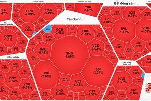 Khối ngoại mua ròng, VN-Index giảm mạnh trong phiên đầu tiên nâng hạng