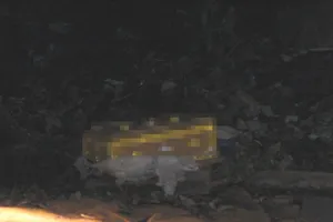 Hiện trường vụ việc. Ảnh: CHÍ PHƯỚC 