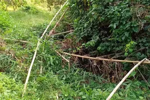 Nơi phát hiện vụ việc